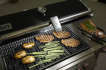 Amazon.com: Weber Handle Grill 'N Go Light, One Size, Grey